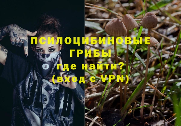 таблы Арсеньев